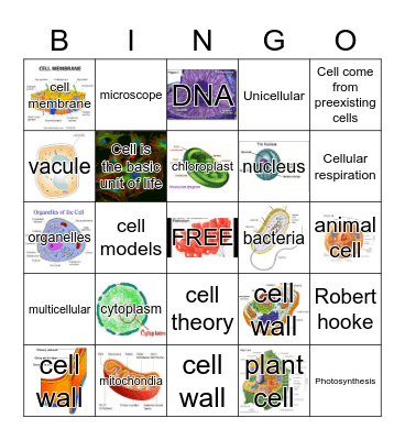 CELL BINGO Card