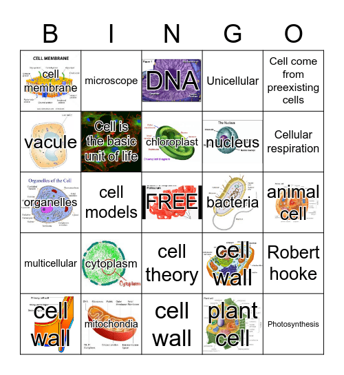 CELL BINGO Card