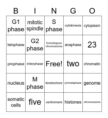MITOSIS Bingo Card