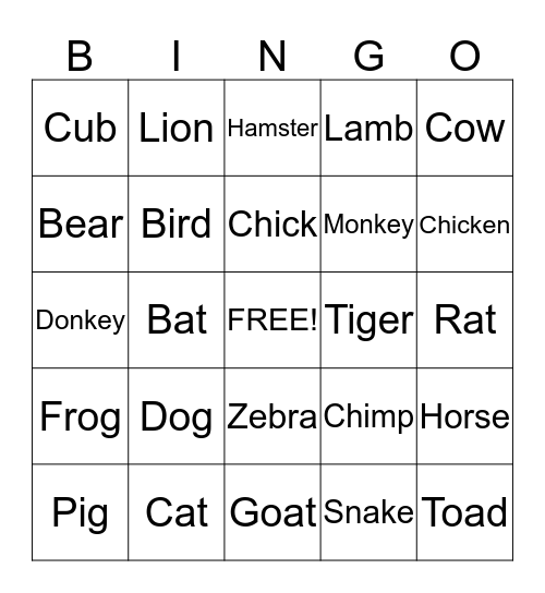 Siloam Springs Bingo Card