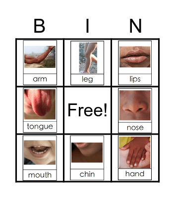 Diverse Human Body Bingo Card