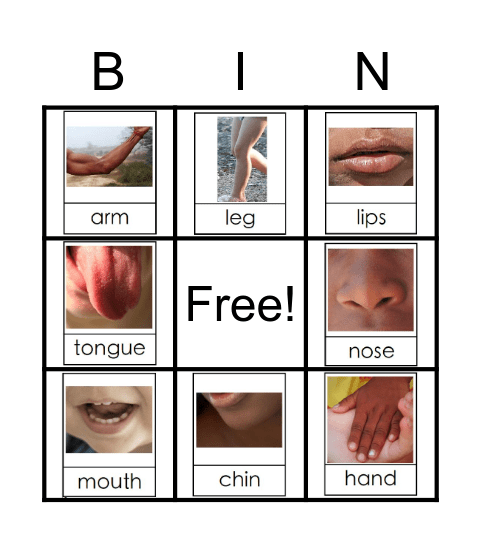 Diverse Human Body Bingo Card