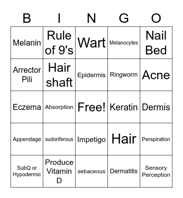 Integumentary System Bingo Card