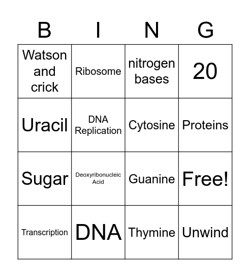 Proteins and DNA Bingo Card