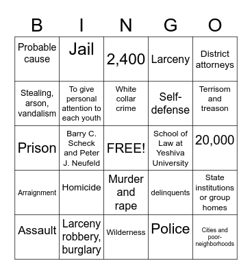Law in America Bingo Card
