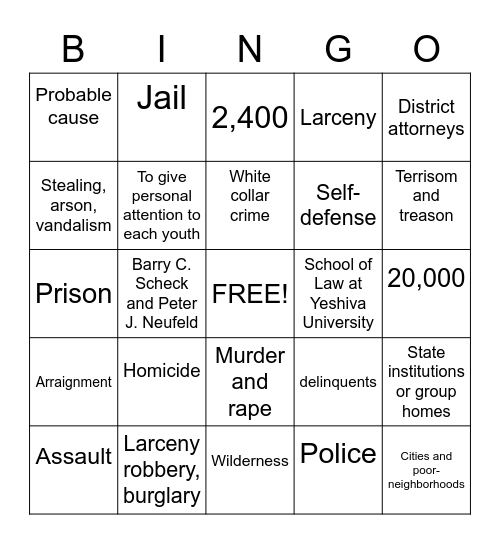 Law in America Bingo Card