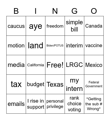 House Majority Terms Bingo Card