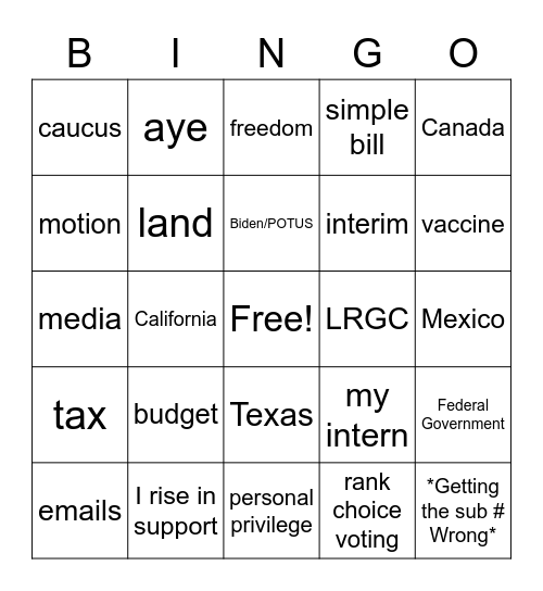 House Majority Terms Bingo Card