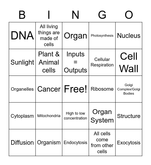 Cell Bingo Review Bingo Card