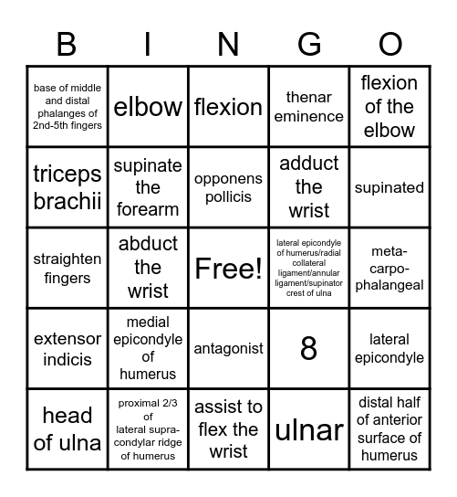 Chapter 3 Review Bingo Card