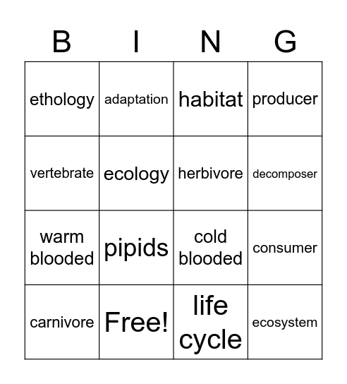 Animal Studies BINGO Card