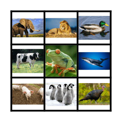 Animal Bingo Card