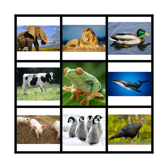 Animal Bingo Card