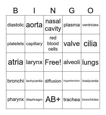 Circulatory & Respiratory System Review Bingo Card