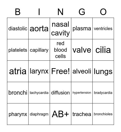 Circulatory & Respiratory System Review Bingo Card