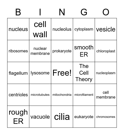 Cell Structures Bingo Card