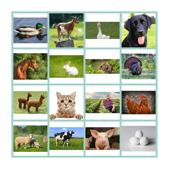 NSM Farm Animal BINGO Card