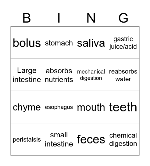 CDBS Bingo Card