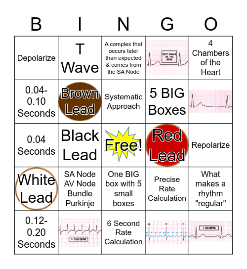 Intro to ECG BINGO Card