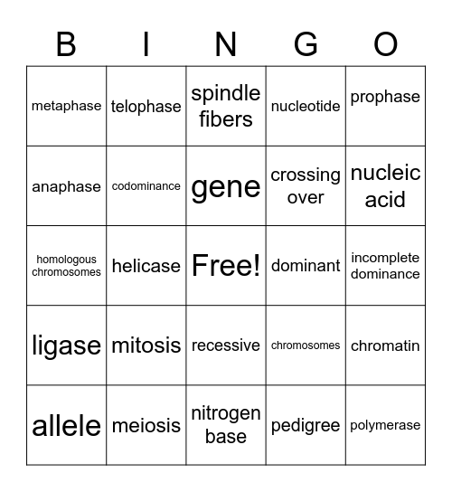 Genetics Bingo Card