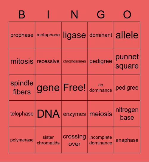 Genetics Bingo Card