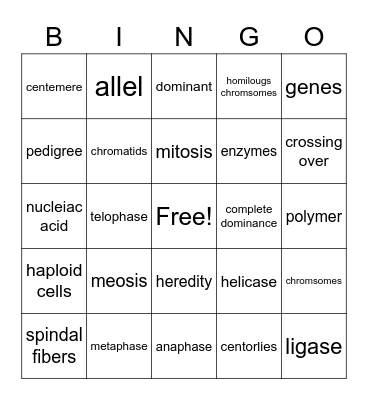 Genetics bingo Card