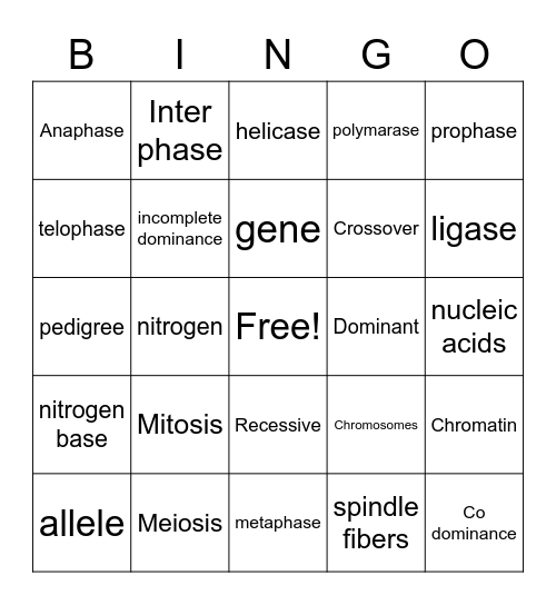 Genetics Bingo Card