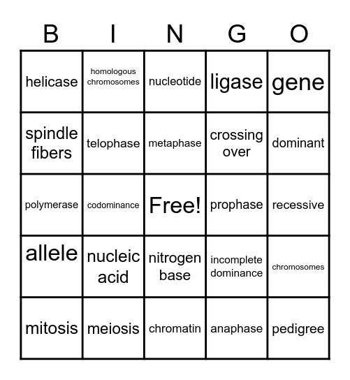 Genetics Bingo Card