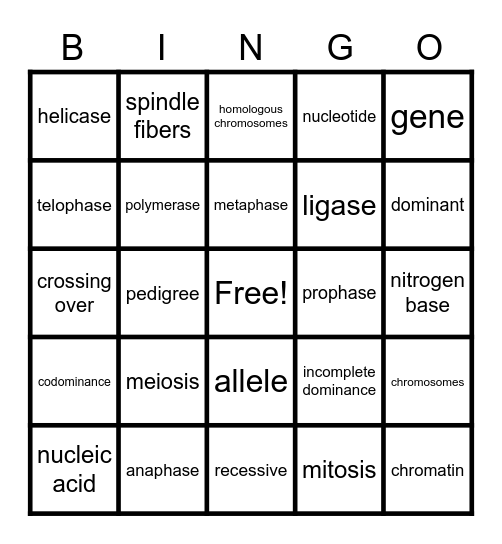 Genetics Bingo Card