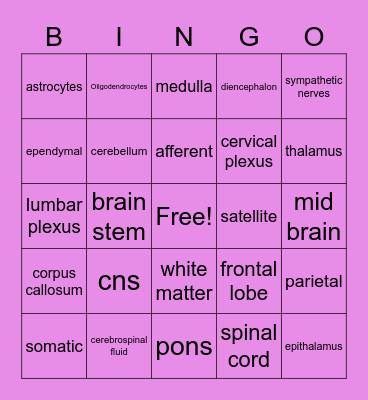 nervous system Bingo Card
