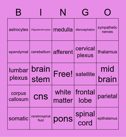 nervous system Bingo Card