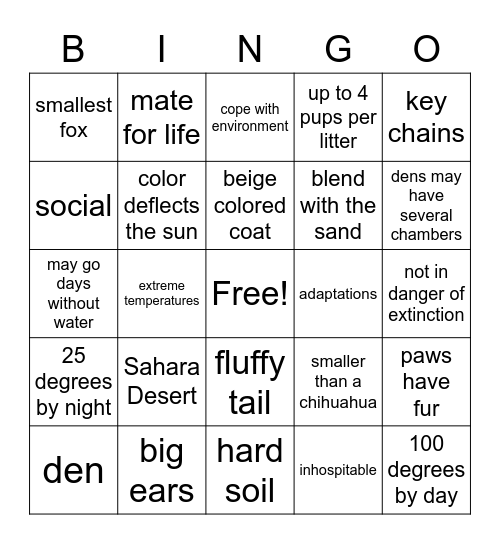 Fennec Fox Bingo Card