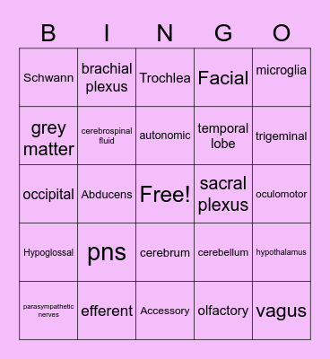 nervous system Bingo Card