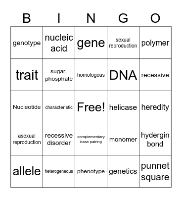 test vocab Bingo Card