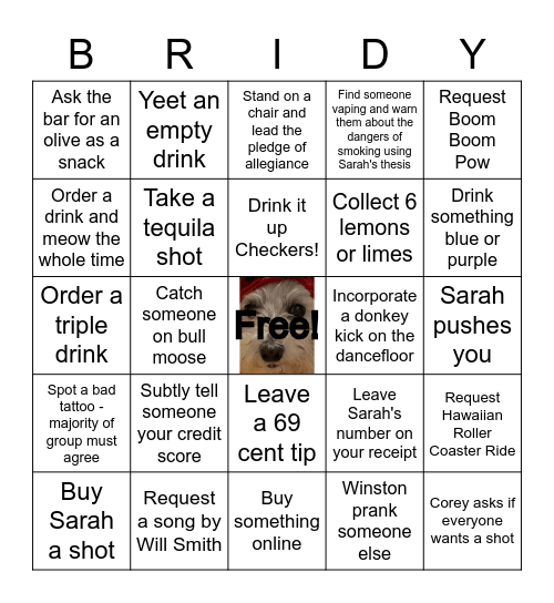 Sarah's Candidacy Crawl Bingo Card