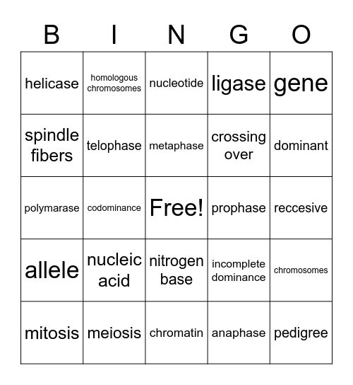 BINGO Card