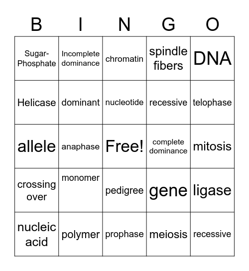 zane... Bingo Card