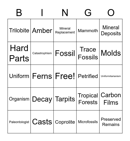 Fossils Bingo Card