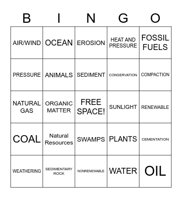 Test Review Bingo Card