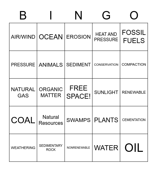 Test Review Bingo Card