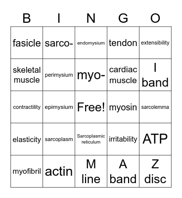 A&P Sk Muscle Micro Bingo Card