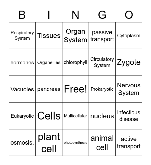 Cell Structure and Function Bingo Card
