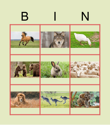 Animals Bingo Card