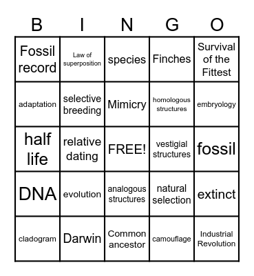 Evolution Bingo Card