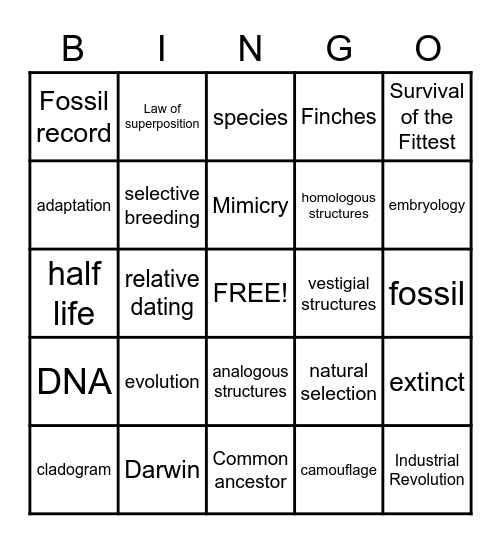 Evolution Bingo Card