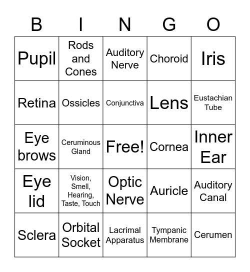 Special Senses Review Bingo Card