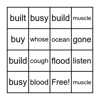 Camera Words 2 Bingo Card