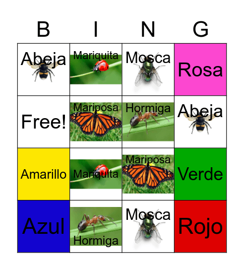 Los Insectos y Colores Bingo Card