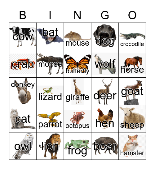 Animals Bingo Card