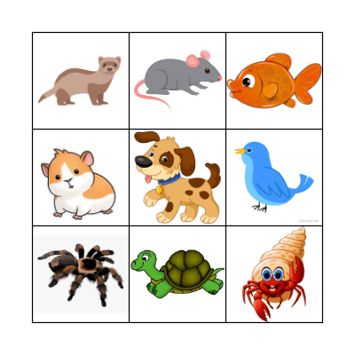 PETS Bingo Card